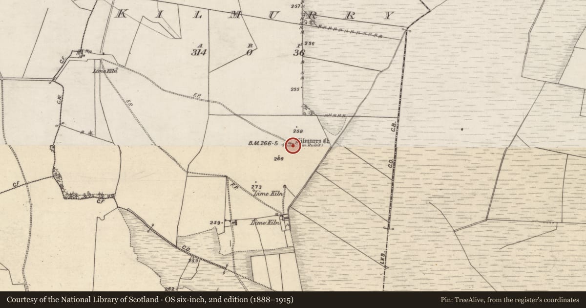 Ordnance Survey six-inch map, 2nd edition (1888–1915) covering the location of Church, Kilmurry, County Galway, with a pin at the register's coordinates