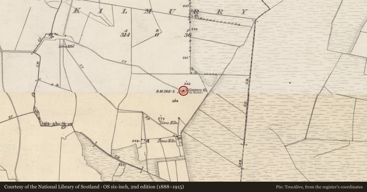 Ordnance Survey six-inch map, 2nd edition (1888–1915) covering the location of Ecclesiastical enclosure, Kilmurry, County Galway, with a pin at the register's coordinates