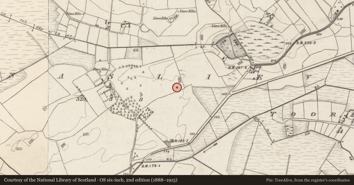 Ordnance Survey six-inch map, 2nd edition (1888–1915) covering the location of Mound, Kilnaslieve, County Galway, with a pin at the register's coordinates