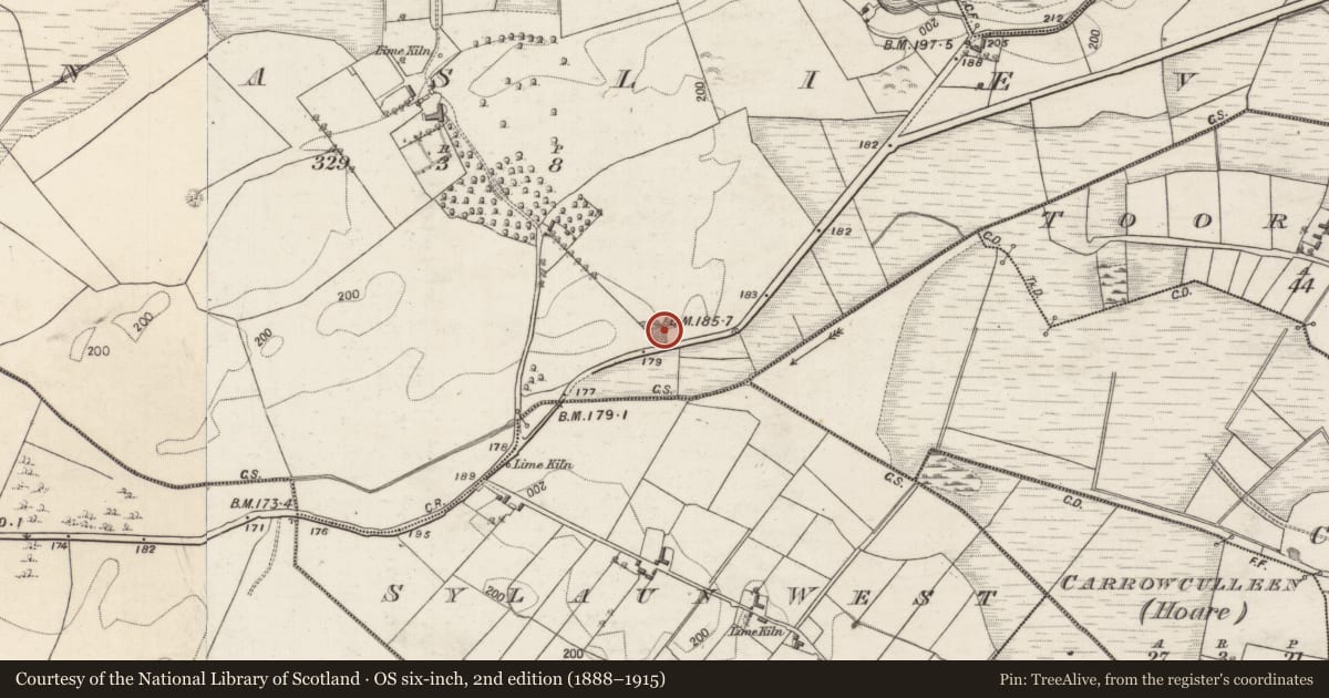 Ordnance Survey six-inch map, 2nd edition (1888–1915) covering the location of Quarry, Kilnaslieve, County Galway, with a pin at the register's coordinates