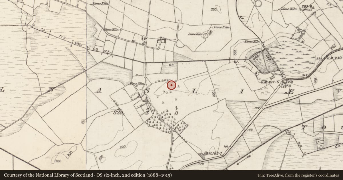 Ordnance Survey six-inch map, 2nd edition (1888–1915) covering the location of Ringfort - unclassified, Kilnaslieve, County Galway, with a pin at the register's coordinates