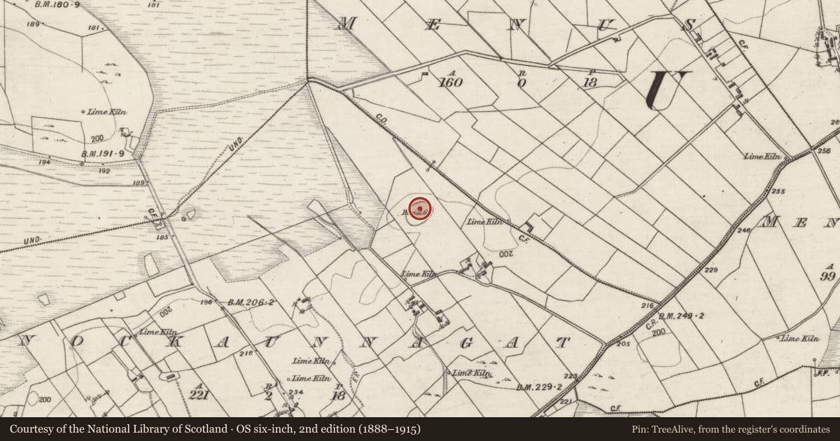 Ordnance Survey six-inch map, 2nd edition (1888–1915) covering the location of Ringfort - unclassified, Knockaunnagat, County Galway, with a pin at the register's coordinates
