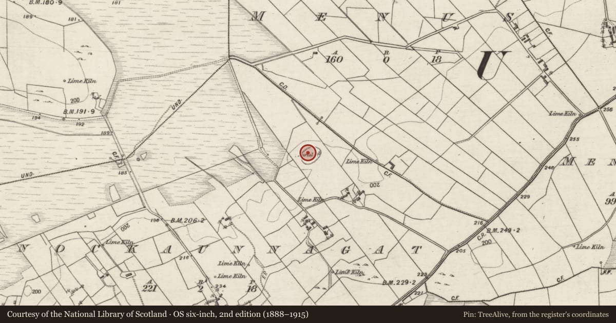 Ordnance Survey six-inch map, 2nd edition (1888–1915) covering the location of Children's burial ground, Knockaunnagat, County Galway, with a pin at the register's coordinates