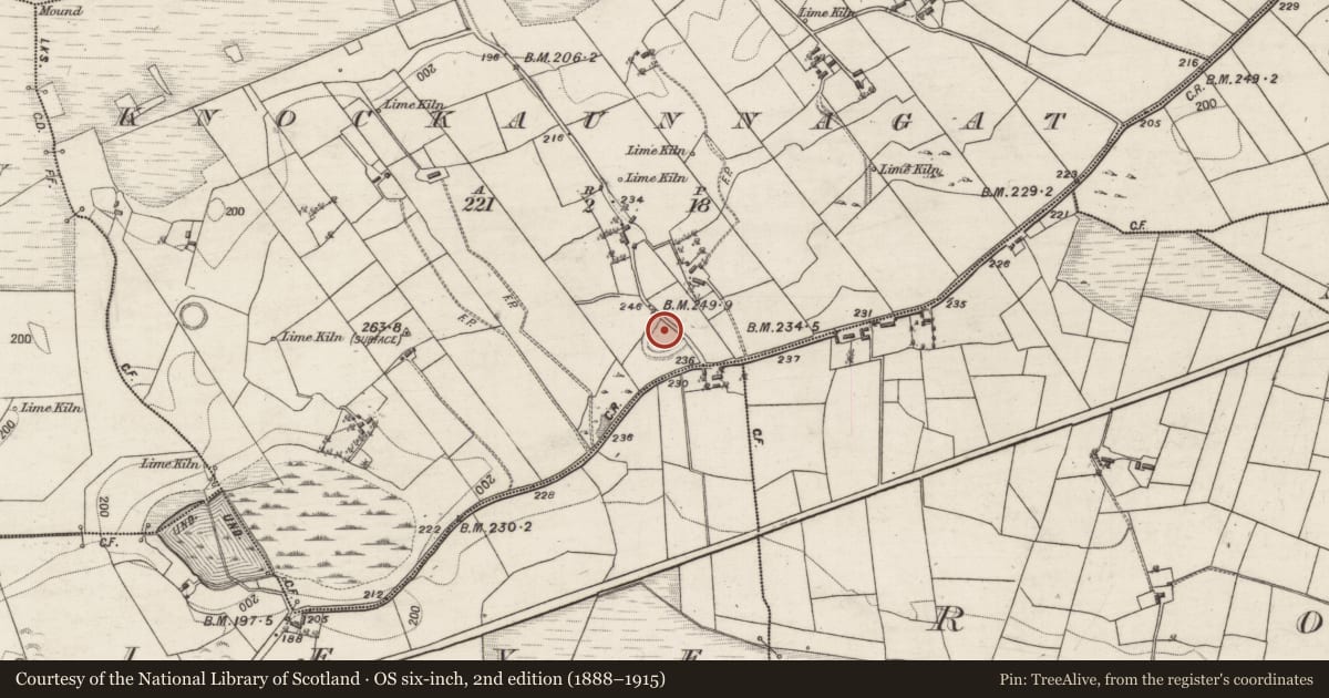 Ordnance Survey six-inch map, 2nd edition (1888–1915) covering the location of Ringfort - rath, Knockaunnagat, County Galway, with a pin at the register's coordinates