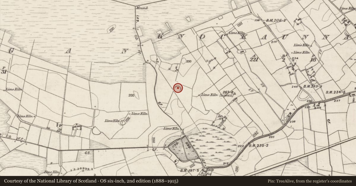 Ordnance Survey six-inch map, 2nd edition (1888–1915) covering the location of Ringfort - rath, Knockaunnagat, County Galway, with a pin at the register's coordinates
