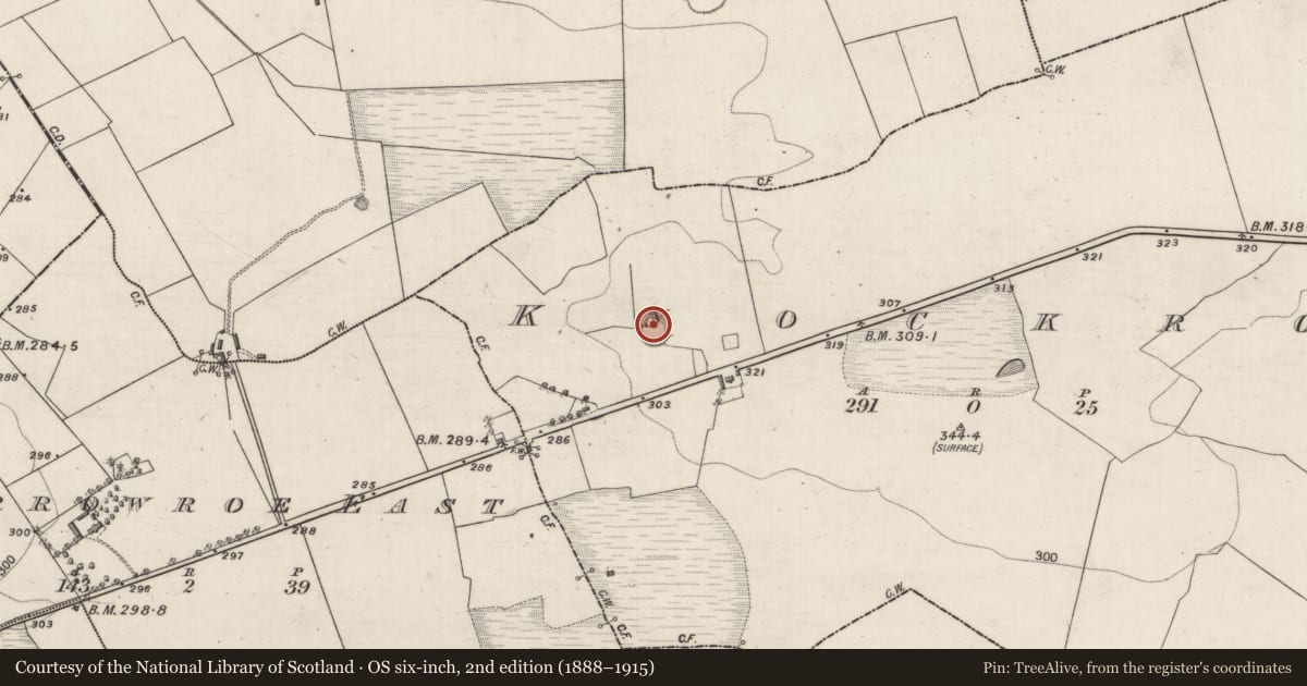 Ordnance Survey six-inch map, 2nd edition (1888–1915) covering the location of Souterrain, Knockroe, County Galway, with a pin at the register's coordinates