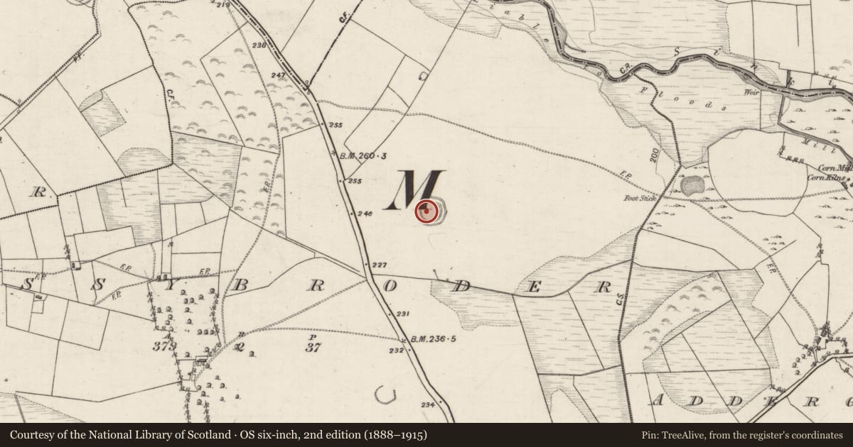 Ordnance Survey six-inch map, 2nd edition (1888–1915) covering the location of Ringfort - rath, Lissybroder, County Galway, with a pin at the register's coordinates