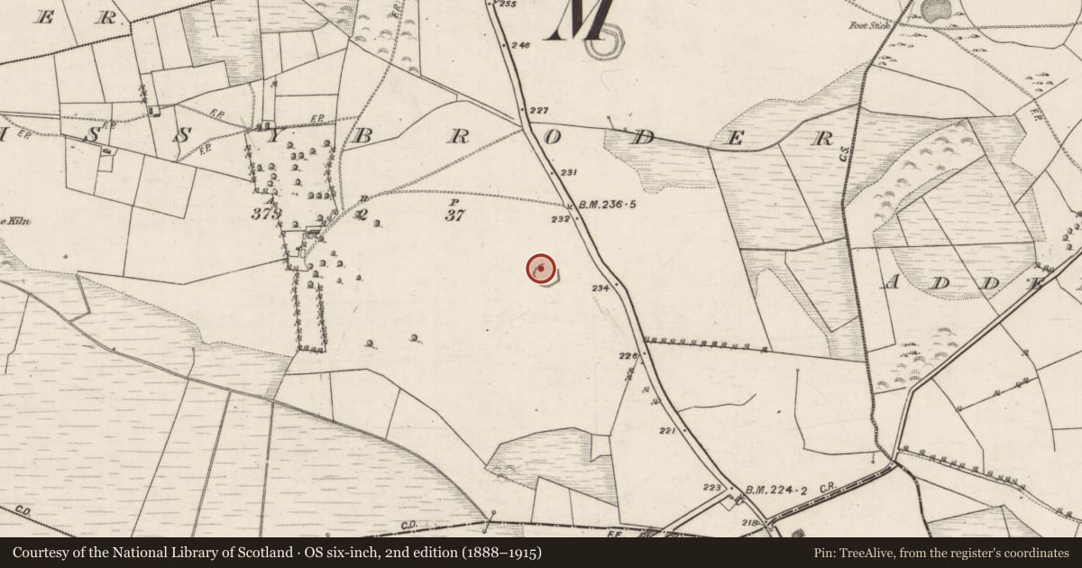 Ordnance Survey six-inch map, 2nd edition (1888–1915) covering the location of Ringfort - rath, Lissybroder, County Galway, with a pin at the register's coordinates
