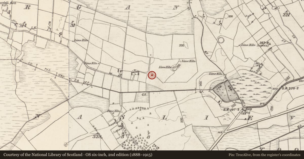 Ordnance Survey six-inch map, 2nd edition (1888–1915) covering the location of Ringfort - rath, Lurgan, County Galway, with a pin at the register's coordinates