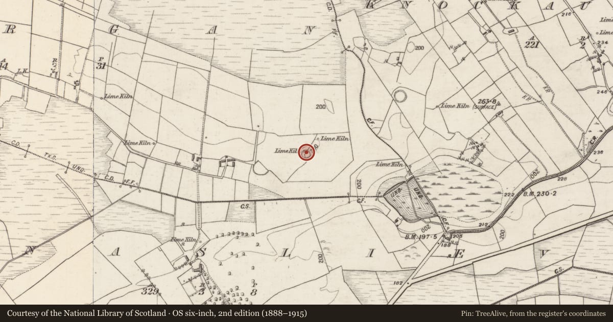 Ordnance Survey six-inch map, 2nd edition (1888–1915) covering the location of Ringfort - rath, Lurgan, County Galway, with a pin at the register's coordinates