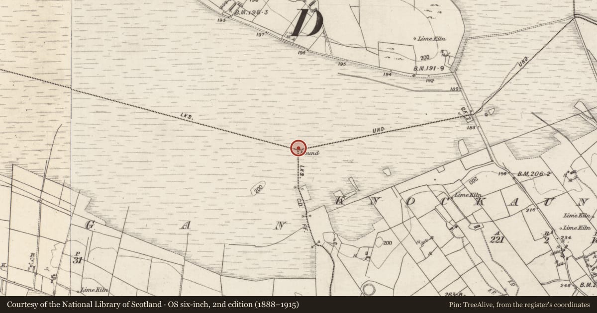 Ordnance Survey six-inch map, 2nd edition (1888–1915) covering the location of Boundary mound, County Galway, with a pin at the register's coordinates