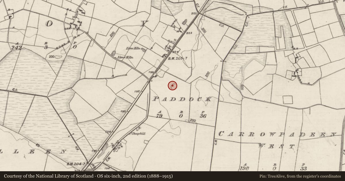 Ordnance Survey six-inch map, 2nd edition (1888–1915) covering the location of Ringfort - rath, Paddock, County Galway, with a pin at the register's coordinates