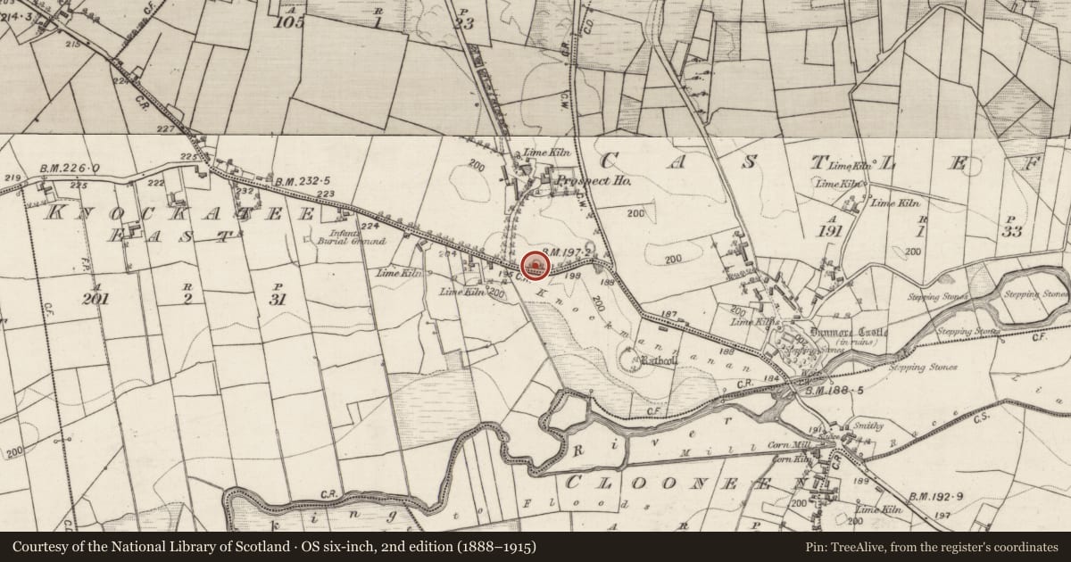 Ordnance Survey six-inch map, 2nd edition (1888–1915) covering the location of Platform, Prospect, County Galway, with a pin at the register's coordinates