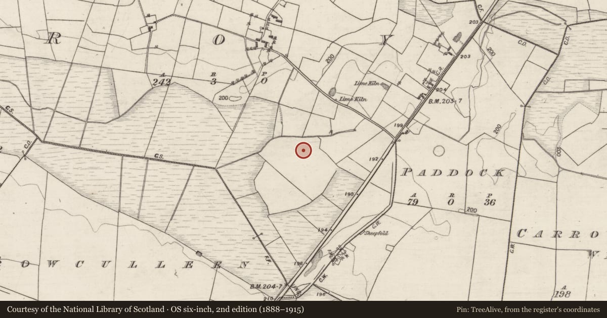 Ordnance Survey six-inch map, 2nd edition (1888–1915) covering the location of Mound, Roy, County Galway, with a pin at the register's coordinates