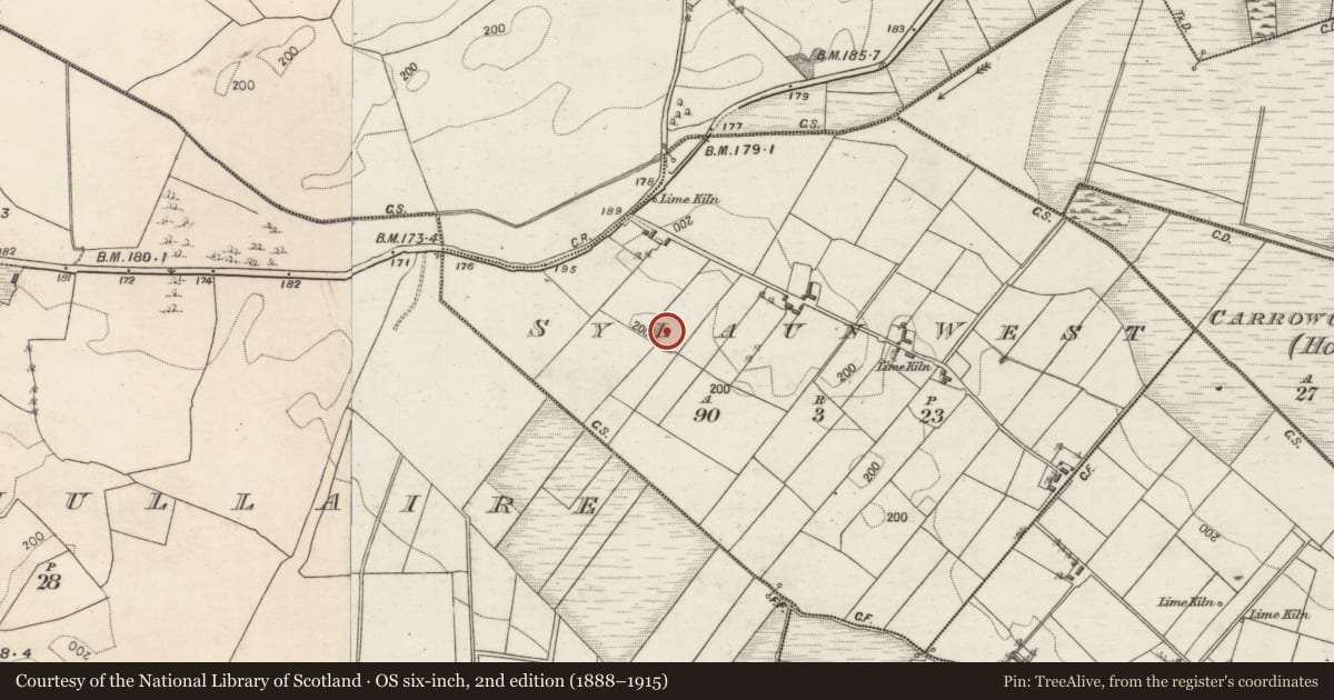 Ordnance Survey six-inch map, 2nd edition (1888–1915) covering the location of Ringfort - rath, Sylaun West, County Galway, with a pin at the register's coordinates