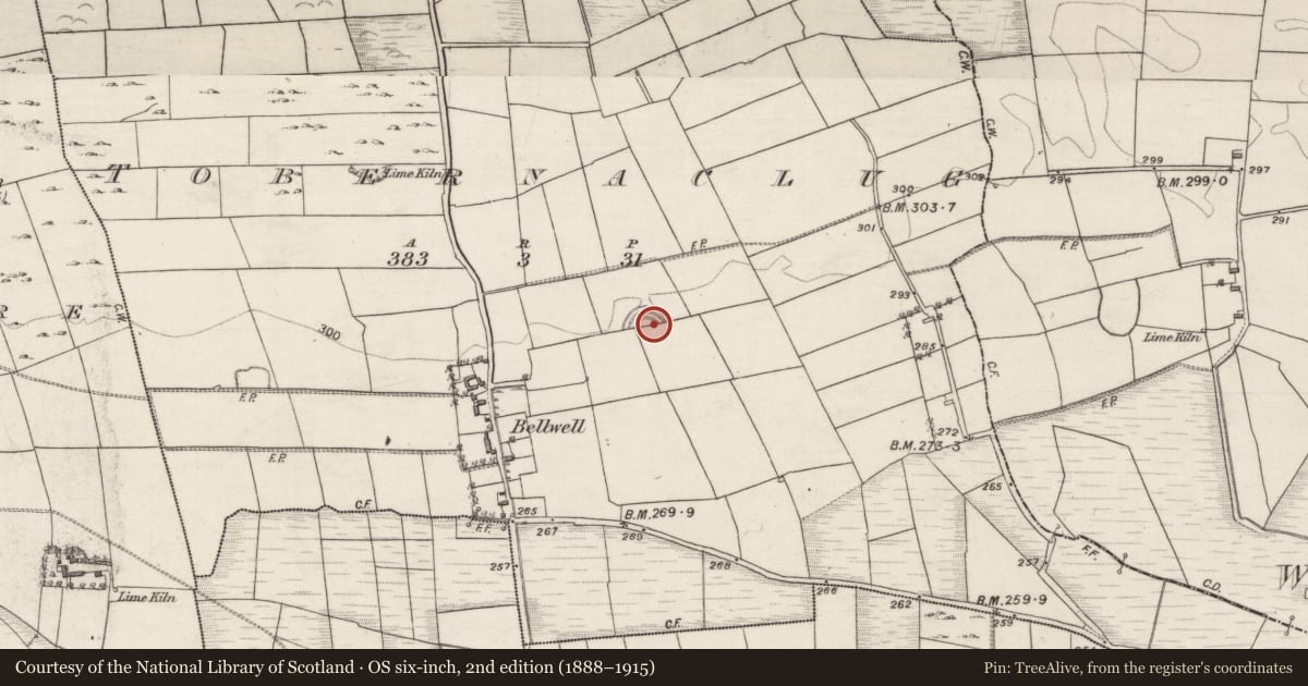 Ordnance Survey six-inch map, 2nd edition (1888–1915) covering the location of Ringfort - rath, Tobernaclug, County Galway, with a pin at the register's coordinates