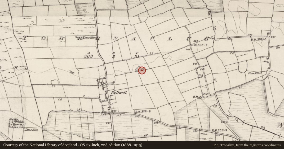 Ordnance Survey six-inch map, 2nd edition (1888–1915) covering the location of Souterrain, Tobernaclug, County Galway, with a pin at the register's coordinates