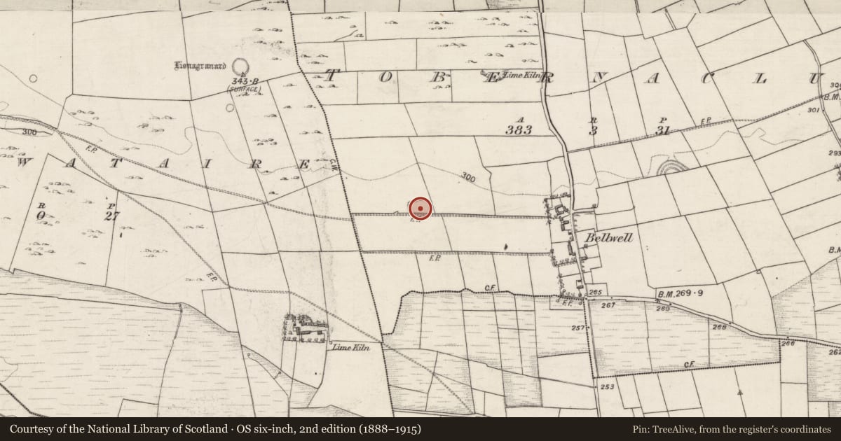 Ordnance Survey six-inch map, 2nd edition (1888–1915) covering the location of Ringfort - rath, Tobernaclug, County Galway, with a pin at the register's coordinates