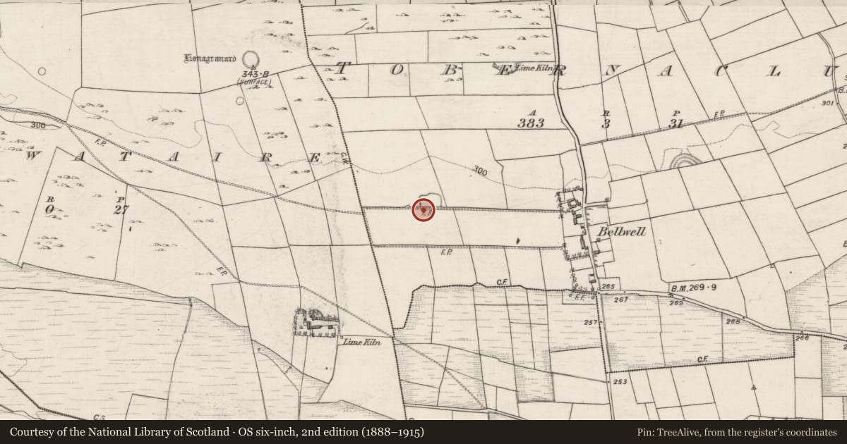 Ordnance Survey six-inch map, 2nd edition (1888–1915) covering the location of Children's burial ground, Tobernaclug, County Galway, with a pin at the register's coordinates