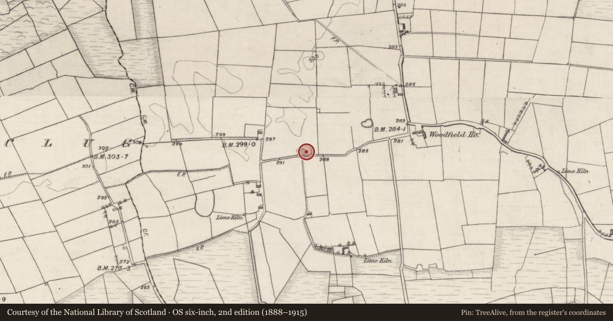 Ordnance Survey six-inch map, 2nd edition (1888–1915) covering the location of Ringfort - rath, Woodfield, County Galway, with a pin at the register's coordinates