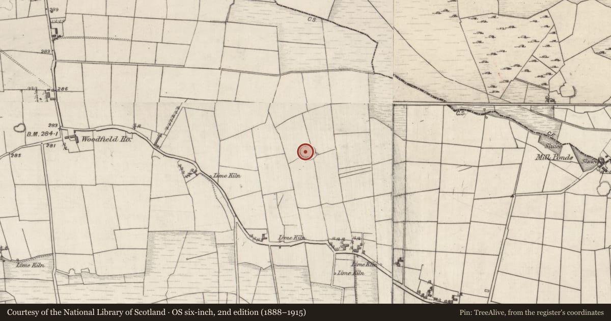 Ordnance Survey six-inch map, 2nd edition (1888–1915) covering the location of Ringfort - rath, Woodfield, County Galway, with a pin at the register's coordinates
