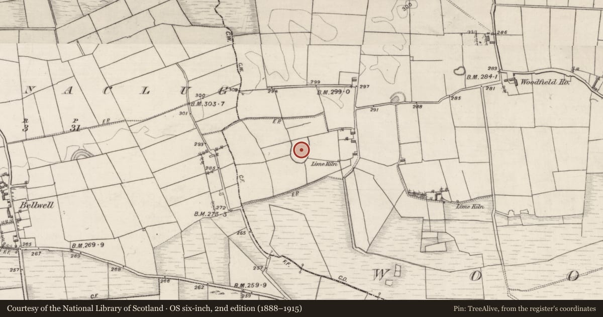 Ordnance Survey six-inch map, 2nd edition (1888–1915) covering the location of Ringfort - rath, Woodfield, County Galway, with a pin at the register's coordinates