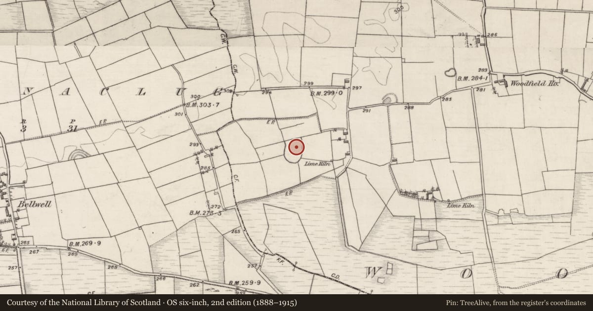 Ordnance Survey six-inch map, 2nd edition (1888–1915) covering the location of Cairn - unclassified, Woodfield, County Galway, with a pin at the register's coordinates