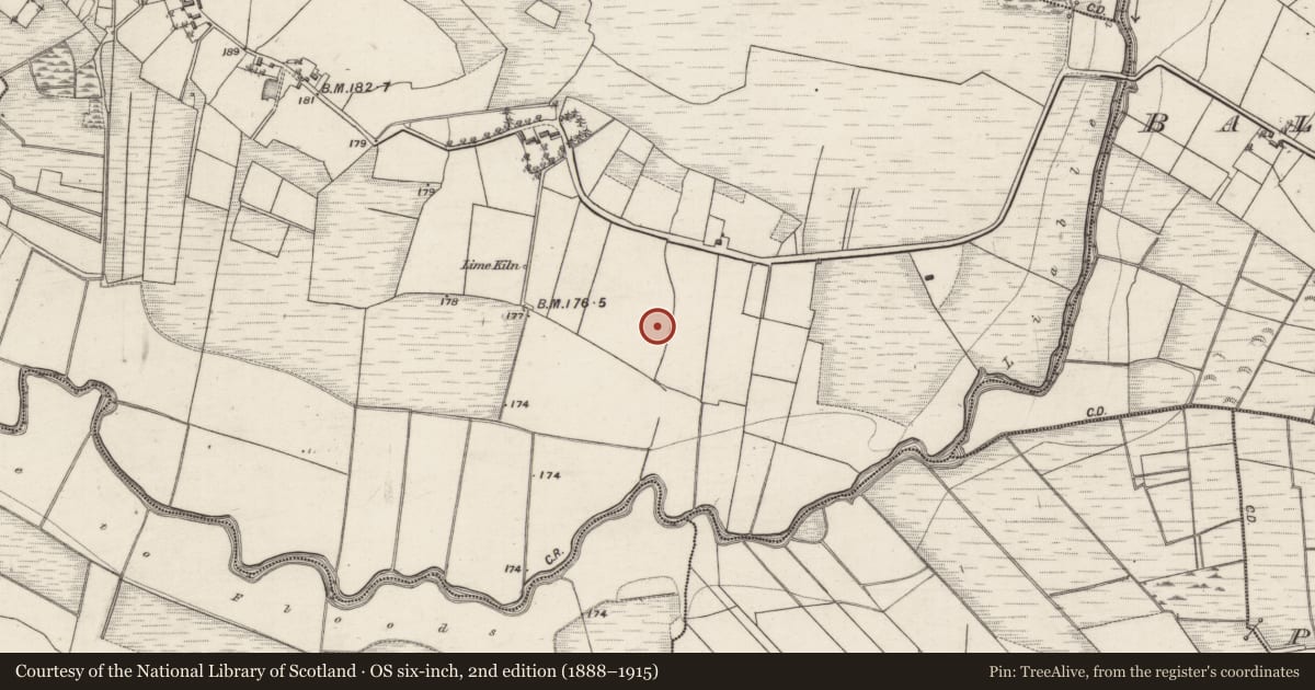 Ordnance Survey six-inch map, 2nd edition (1888–1915) covering the location of Ringfort - rath, Gortnagoyne, County Galway, with a pin at the register's coordinates