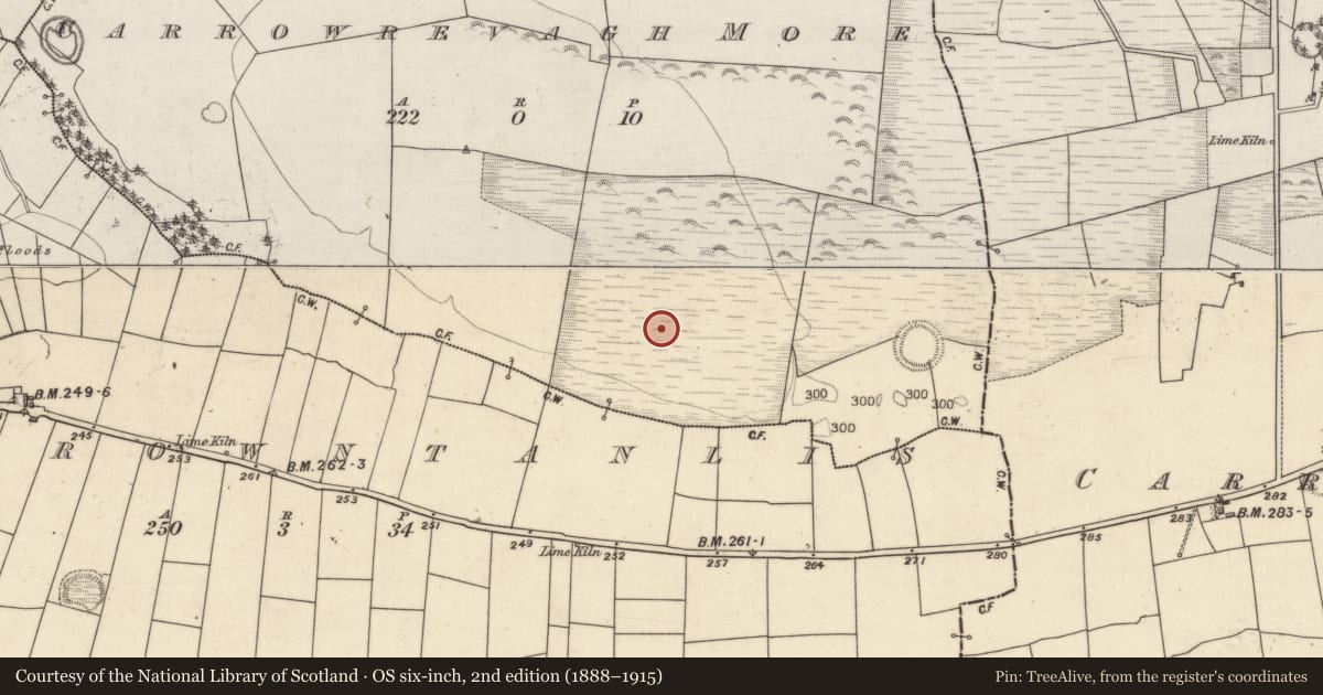 Ordnance Survey six-inch map, 2nd edition (1888–1915) covering the location of Enclosure, Carrowrevagh More, County Galway, with a pin at the register's coordinates