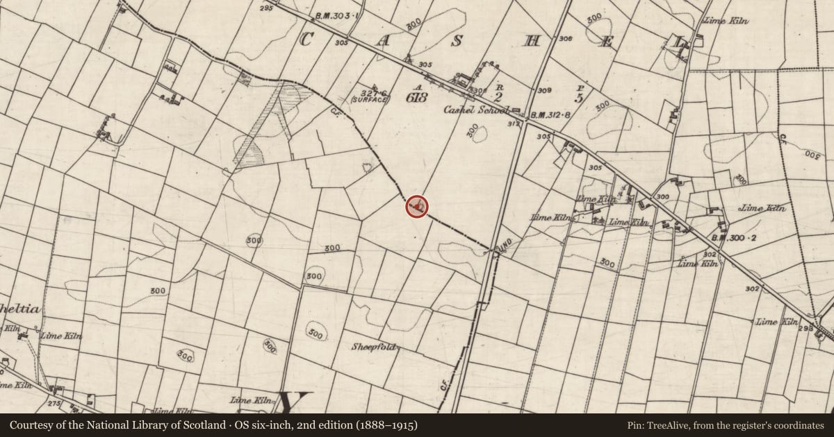 Ordnance Survey six-inch map, 2nd edition (1888–1915) covering the location of Quarry, Cashel, County Galway, with a pin at the register's coordinates
