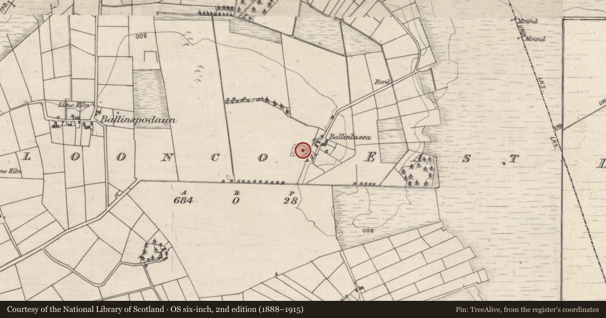 Ordnance Survey six-inch map, 2nd edition (1888–1915) covering the location of Ringfort - rath, Clooncon East, County Galway, with a pin at the register's coordinates