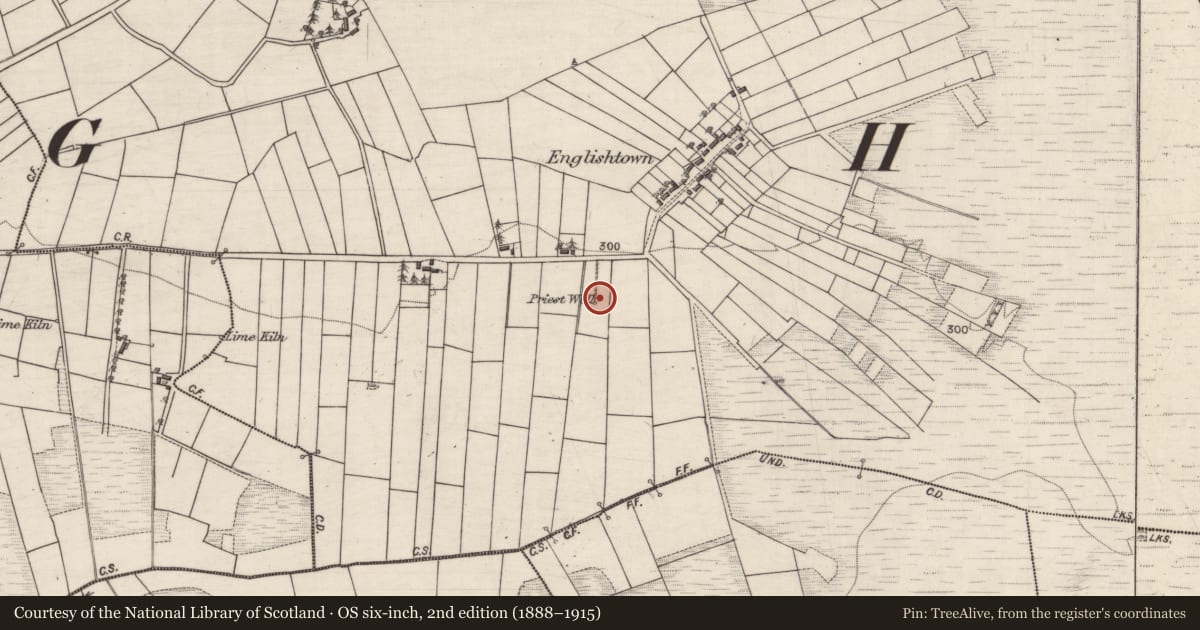 Ordnance Survey six-inch map, 2nd edition (1888–1915) covering the location of Ritual site - holy well, Clooncon East, County Galway, with a pin at the register's coordinates