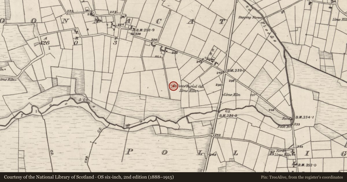 Ordnance Survey six-inch map, 2nd edition (1888–1915) covering the location of Children's burial ground, Cloonnacat, County Galway, with a pin at the register's coordinates