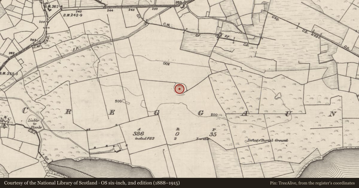 Ordnance Survey six-inch map, 2nd edition (1888–1915) covering the location of Ringfort - rath, Creggaun, County Galway, with a pin at the register's coordinates