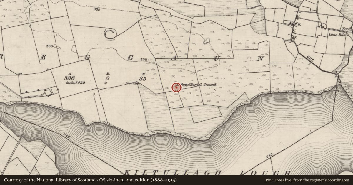 Ordnance Survey six-inch map, 2nd edition (1888–1915) covering the location of Children's burial ground, Creggaun, County Galway, with a pin at the register's coordinates