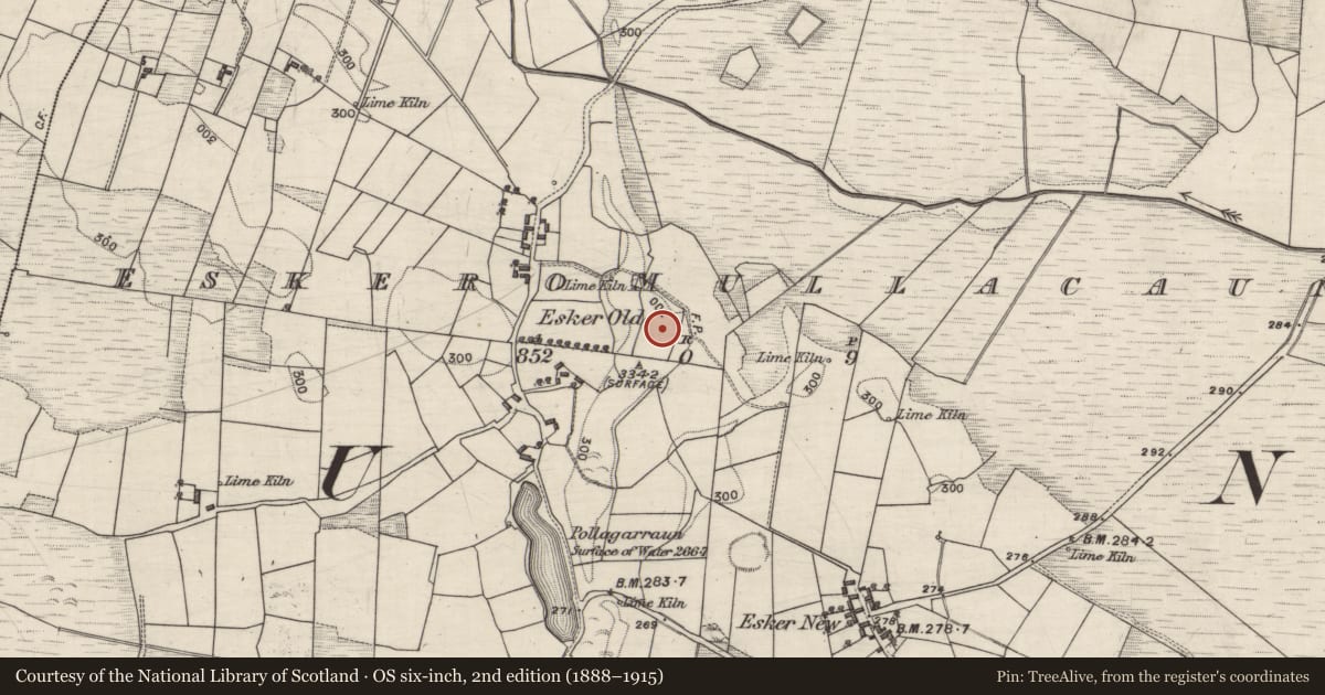 Ordnance Survey six-inch map, 2nd edition (1888–1915) covering the location of Children's burial ground, Eskeromullacaun, County Galway, with a pin at the register's coordinates