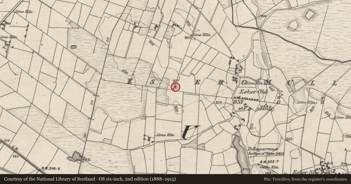 Ordnance Survey six-inch map, 2nd edition (1888–1915) covering the location of Monumental structure, Eskeromullacaun, County Galway, with a pin at the register's coordinates