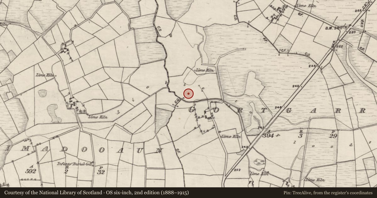 Ordnance Survey six-inch map, 2nd edition (1888–1915) covering the location of Enclosure, Gortgarrow, County Galway, with a pin at the register's coordinates