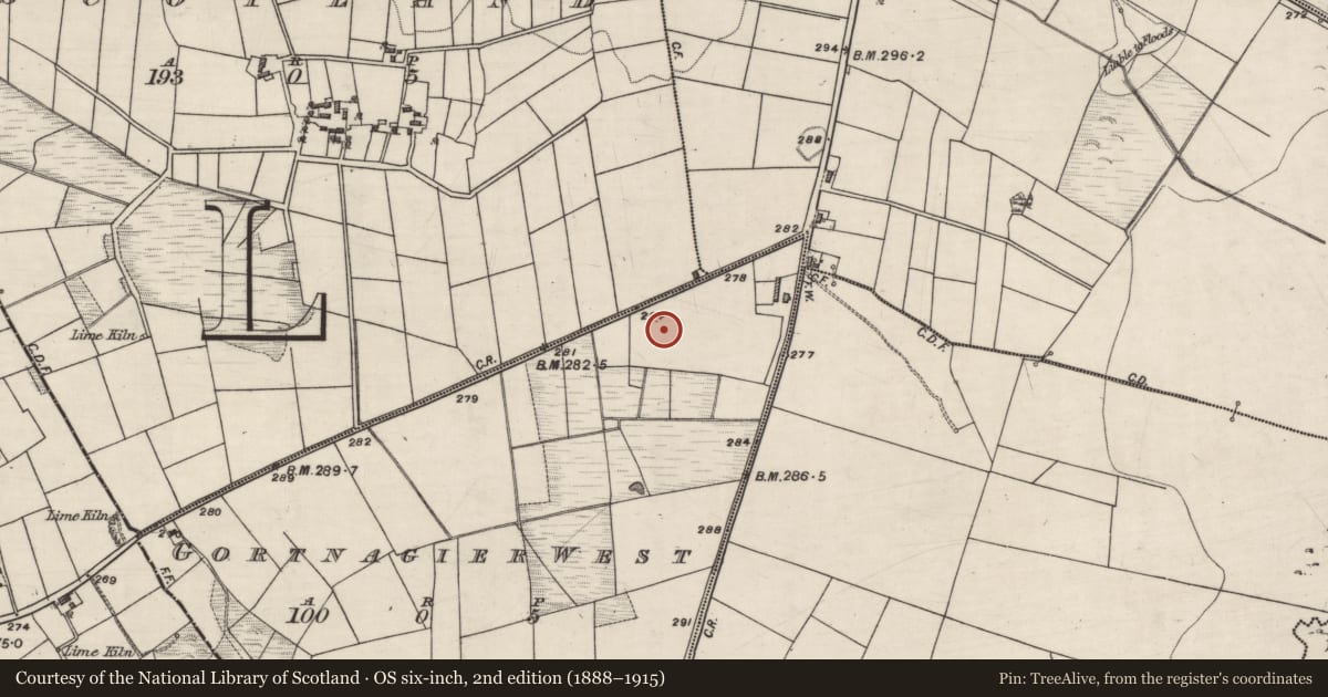 Ordnance Survey six-inch map, 2nd edition (1888–1915) covering the location of Ringfort - rath, Gortnagier West, County Galway, with a pin at the register's coordinates