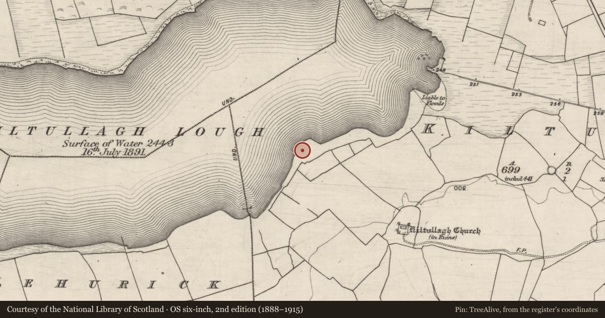 Ordnance Survey six-inch map, 2nd edition (1888–1915) covering the location of Bawn, Kiltullagh, County Galway, with a pin at the register's coordinates