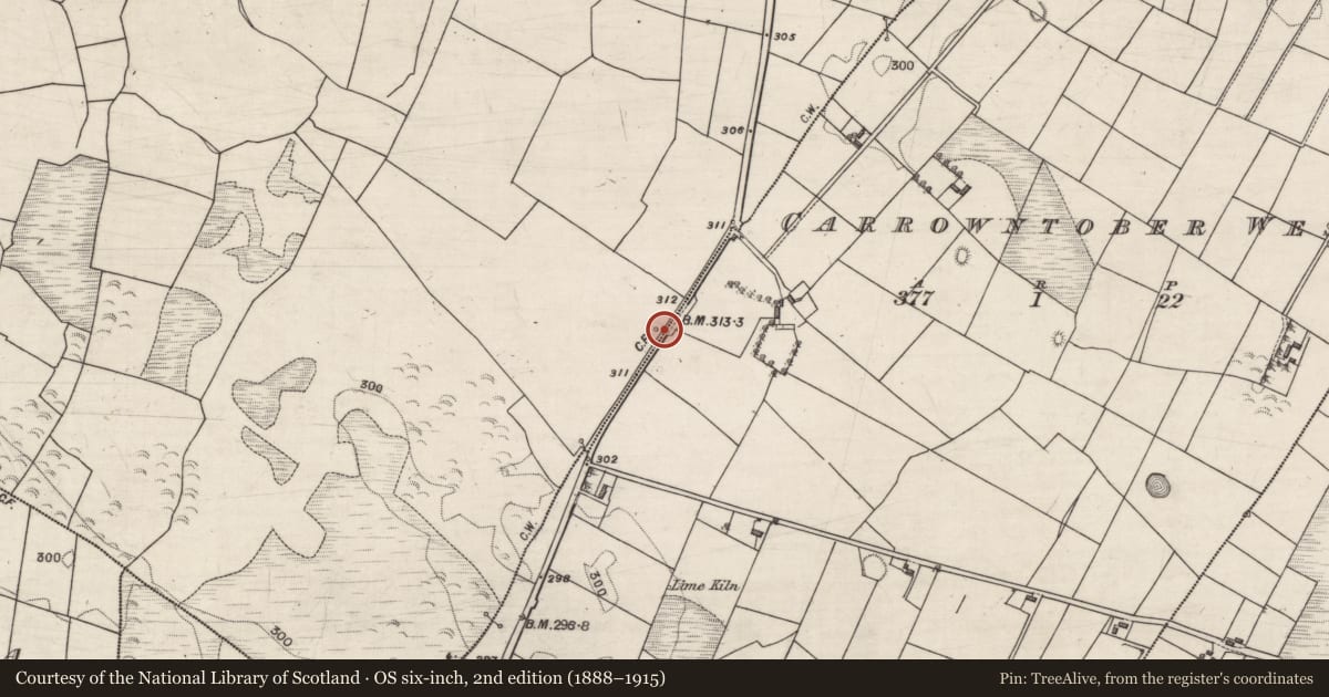 Ordnance Survey six-inch map, 2nd edition (1888–1915) covering the location of Well, Kiltullagh, County Galway, with a pin at the register's coordinates