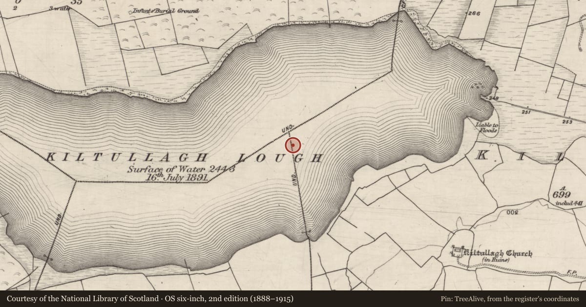 Ordnance Survey six-inch map, 2nd edition (1888–1915) covering the location of Crannog, Kiltullagh, Lehurick, County Galway, with a pin at the register's coordinates