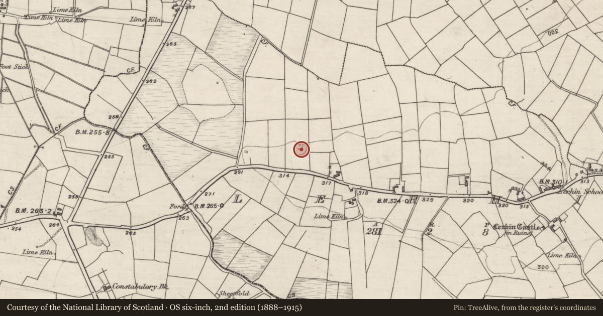 Ordnance Survey six-inch map, 2nd edition (1888–1915) covering the location of Ringfort - rath, Lerhin, County Galway, with a pin at the register's coordinates