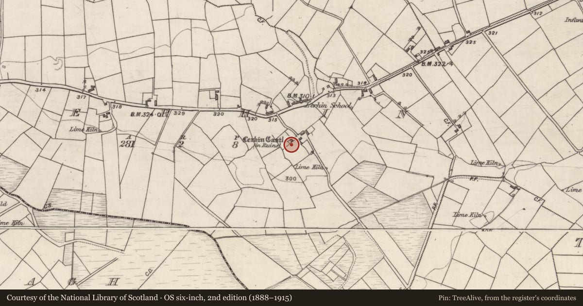 Ordnance Survey six-inch map, 2nd edition (1888–1915) covering the location of Castle - unclassified, Lerhin, County Galway, with a pin at the register's coordinates