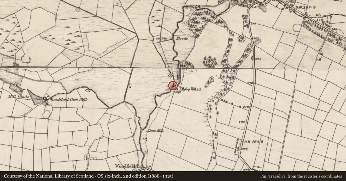 Ordnance Survey six-inch map, 2nd edition (1888–1915) covering the location of Ritual site - holy well, Lisheennaheltia, County Galway, with a pin at the register's coordinates