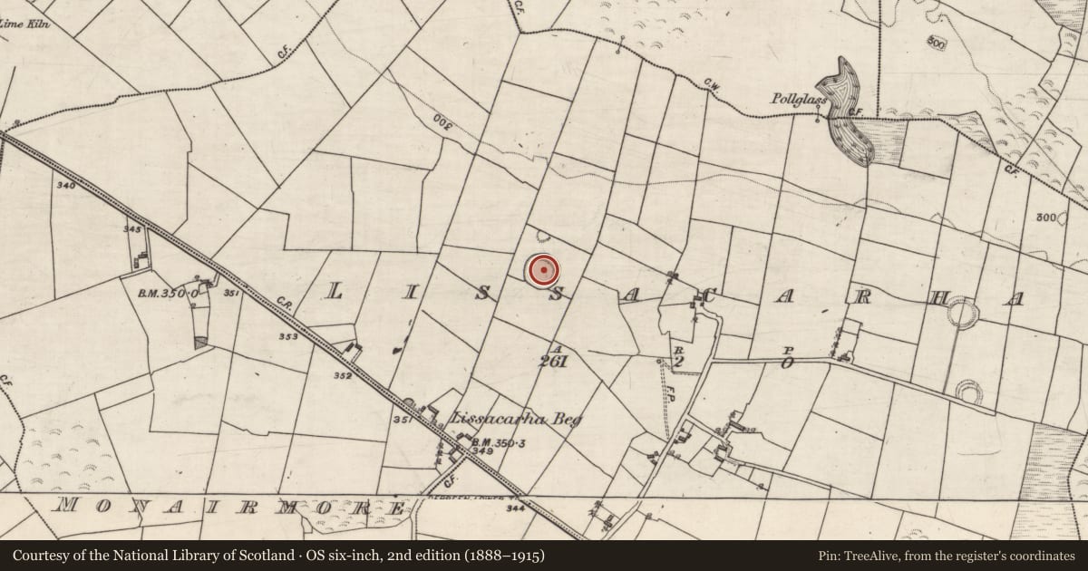 Ordnance Survey six-inch map, 2nd edition (1888–1915) covering the location of Children's burial ground, Lissacarha, County Galway, with a pin at the register's coordinates