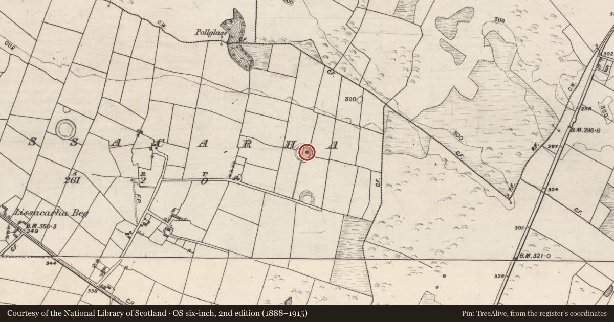 Ordnance Survey six-inch map, 2nd edition (1888–1915) covering the location of Ringfort - rath, Lissacarha, County Galway, with a pin at the register's coordinates