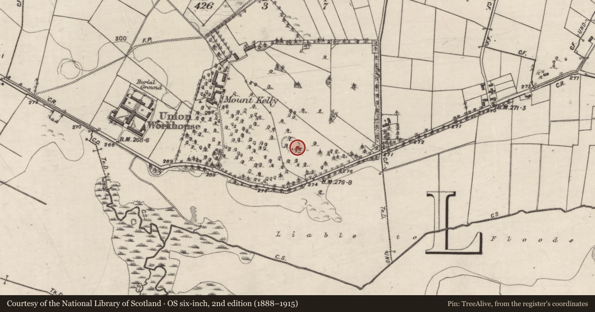 Ordnance Survey six-inch map, 2nd edition (1888–1915) covering the location of Enclosure, Mountkelly, County Galway, with a pin at the register's coordinates