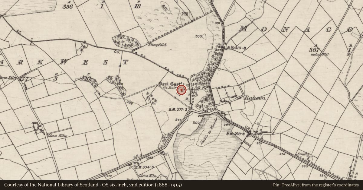 Ordnance Survey six-inch map, 2nd edition (1888–1915) covering the location of Bawn, Park West, County Galway, with a pin at the register's coordinates