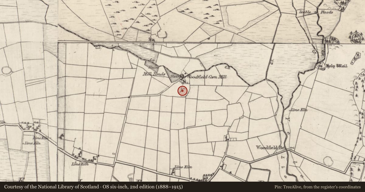 Ordnance Survey six-inch map, 2nd edition (1888–1915) covering the location of Ringfort - rath, Woodfield, County Galway, with a pin at the register's coordinates